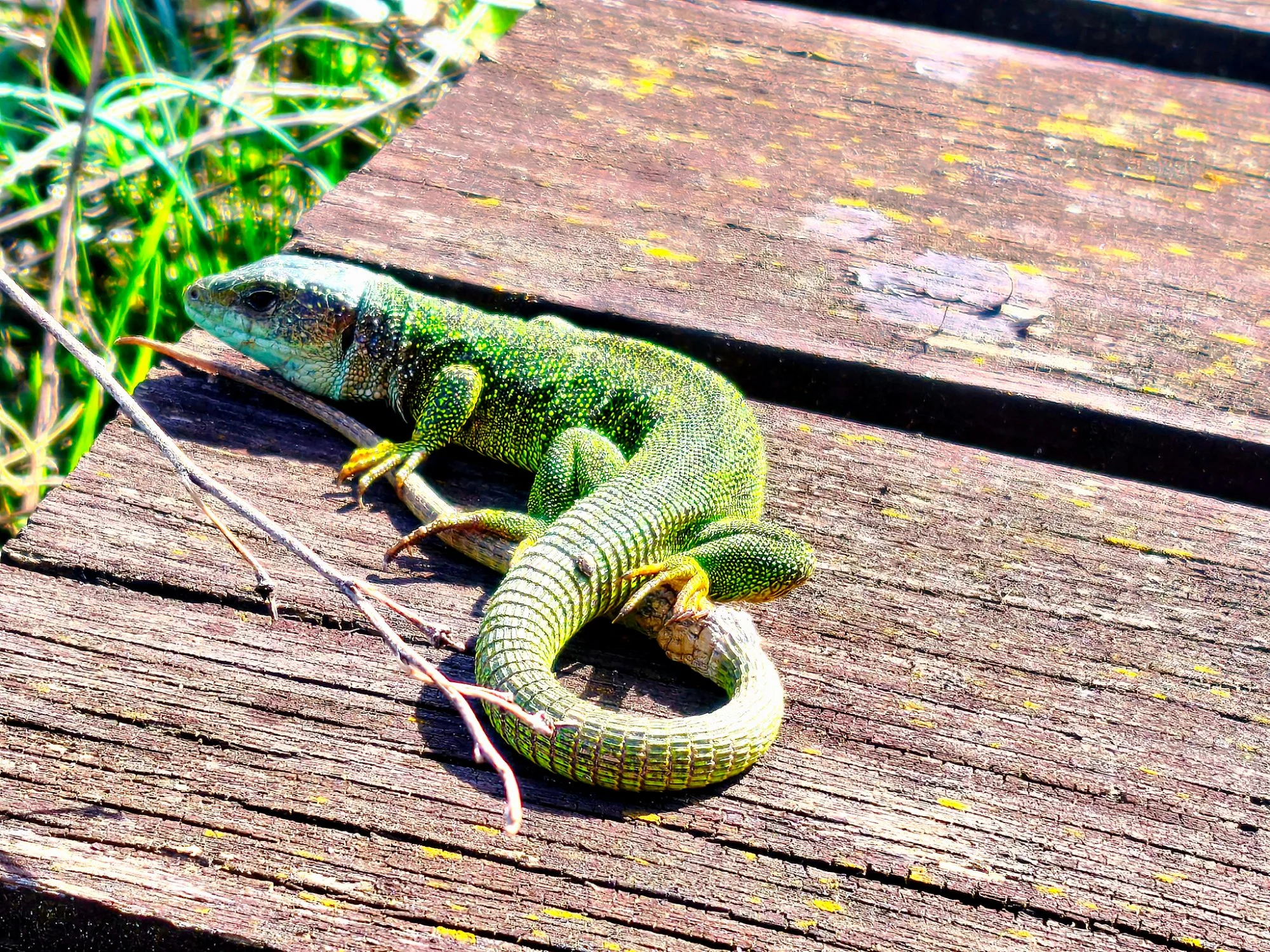 Obrázek k příběhu