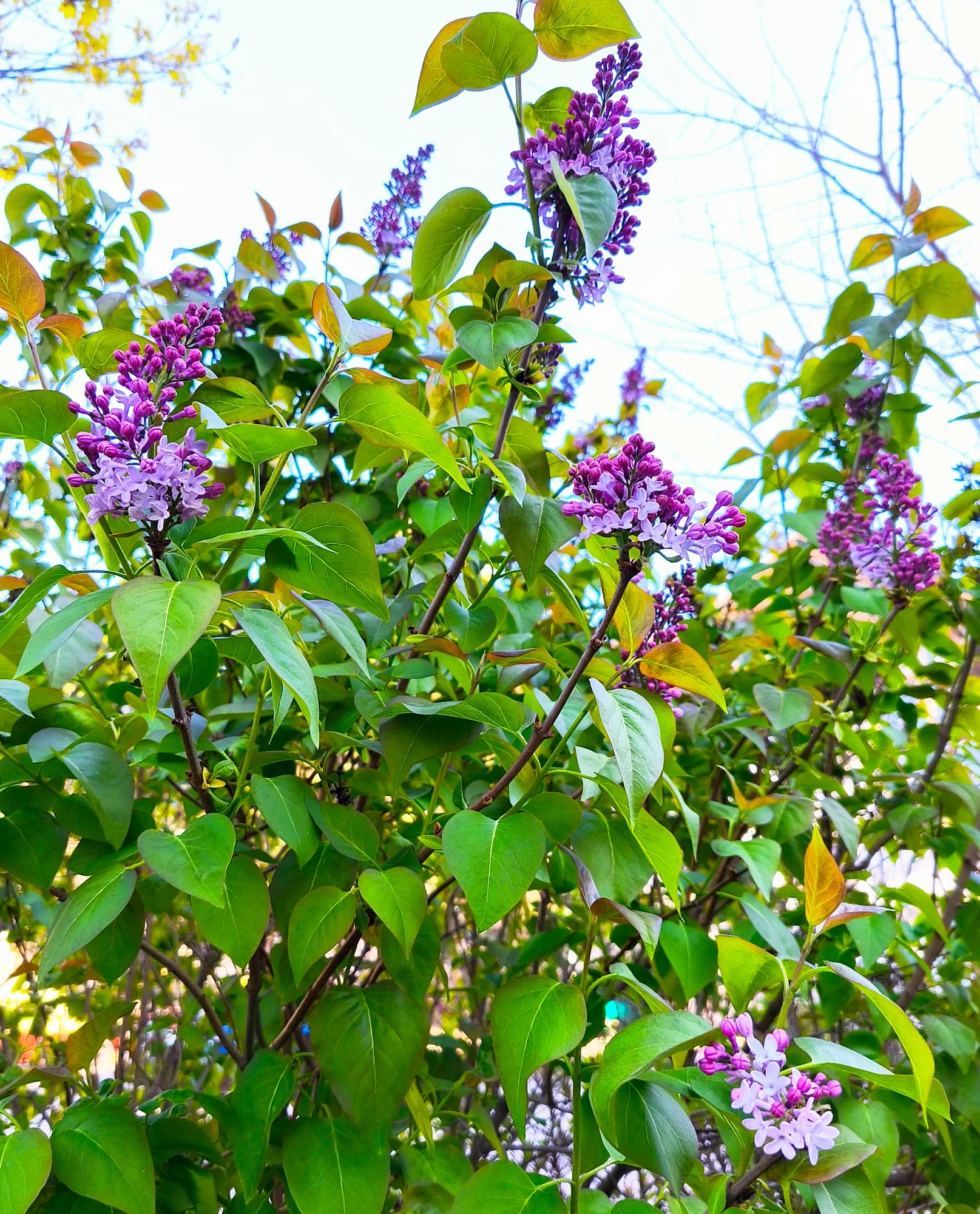 Obrázek k příběhu