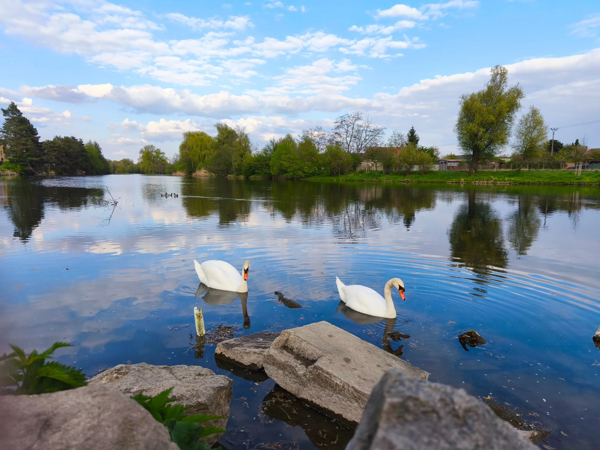 Obrázek k příběhu