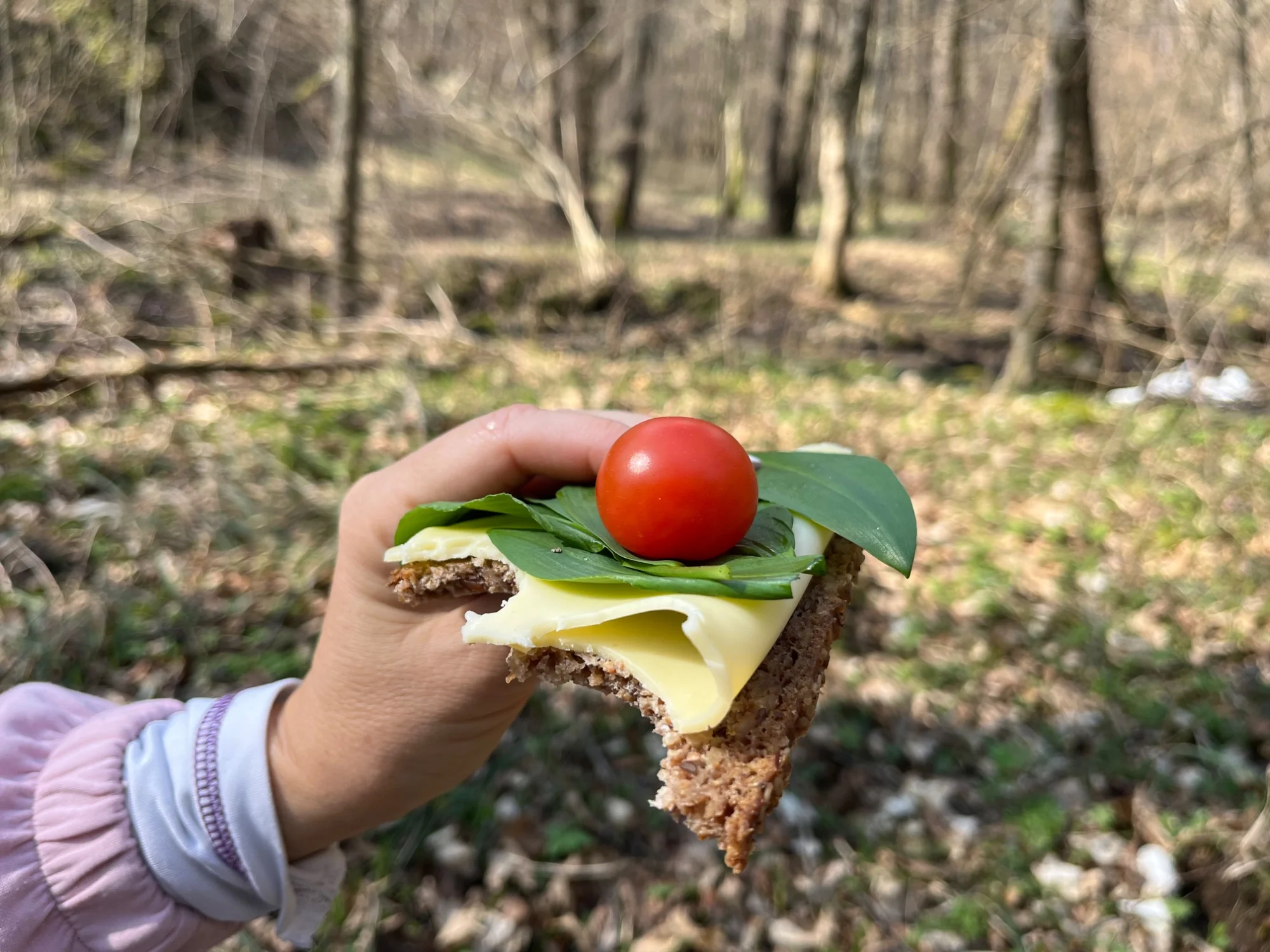 Obrázek k příběhu