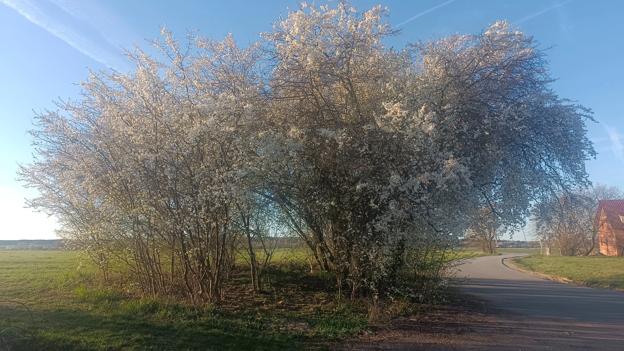 Obrázek k příběhu