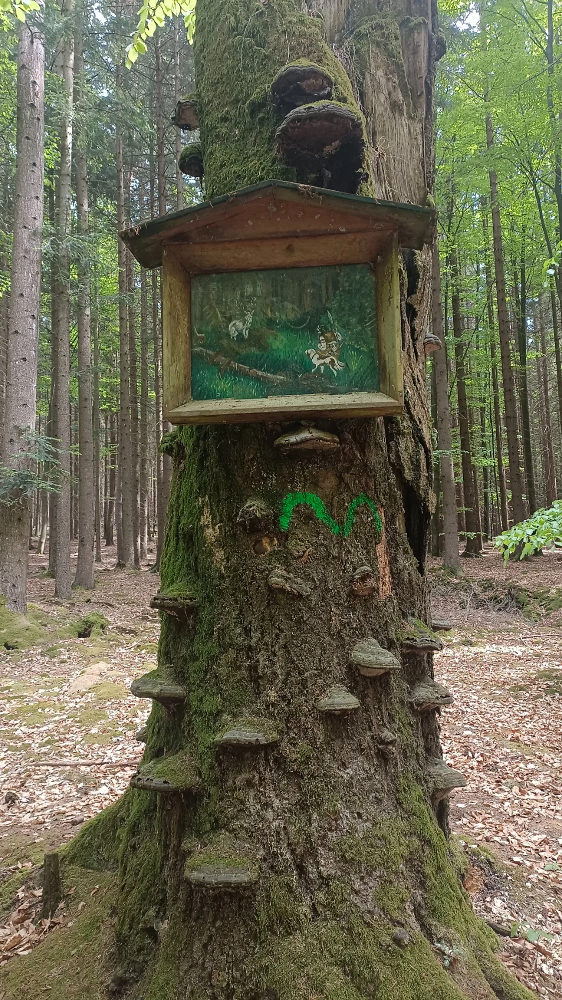 Obrázek k příběhu
