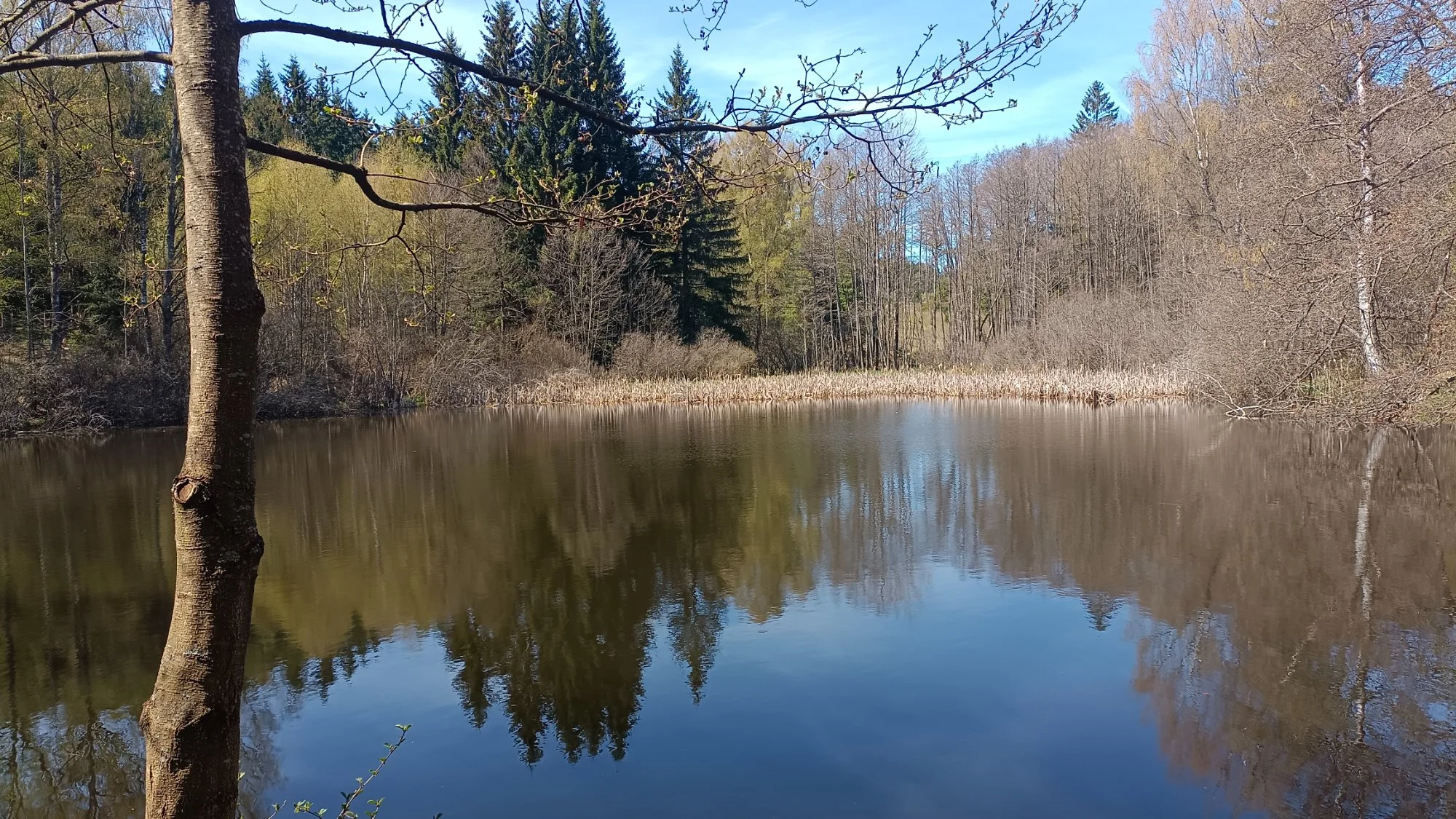 Obrázek k příběhu