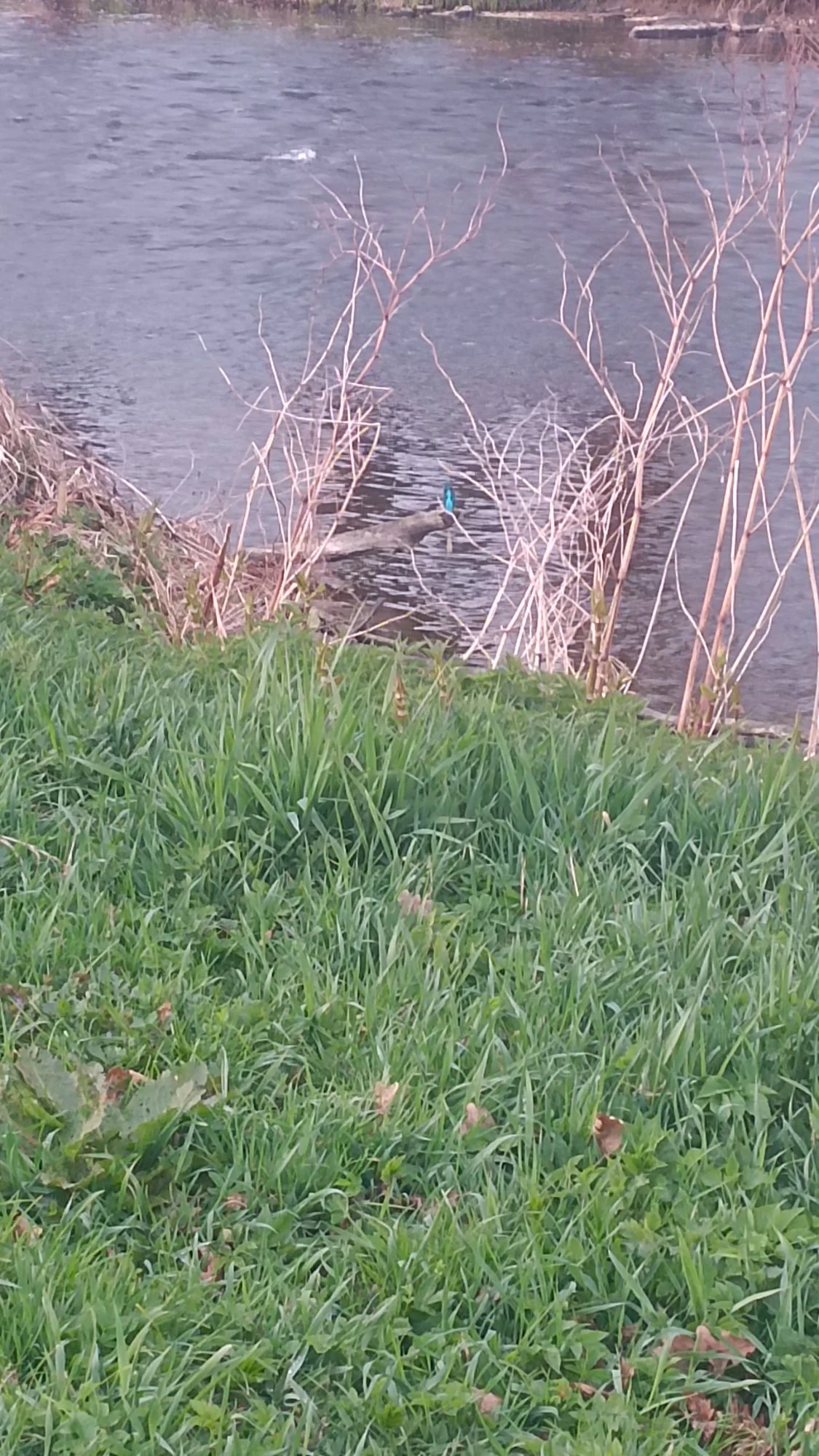 Obrázek k příběhu