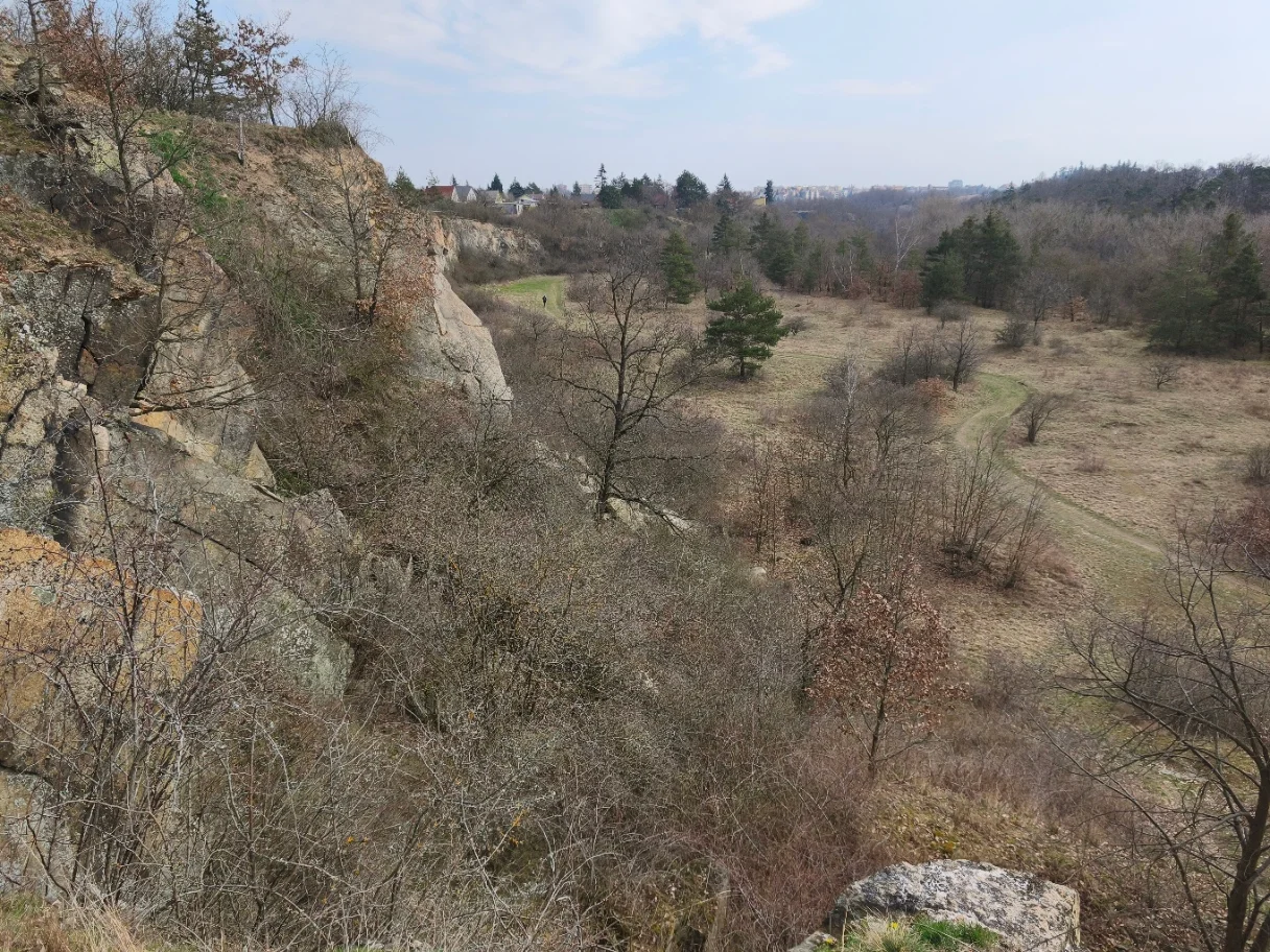 Obrázek k příběhu