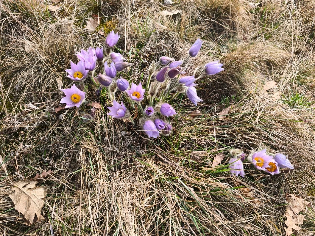 Obrázek k příběhu
