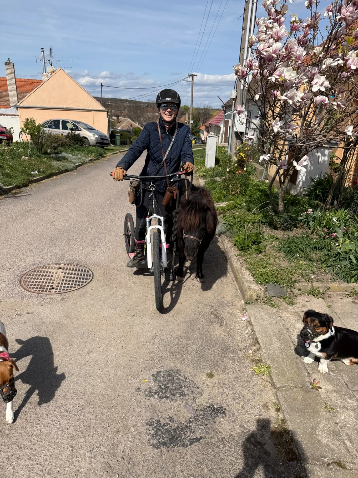 Obrázek k příběhu